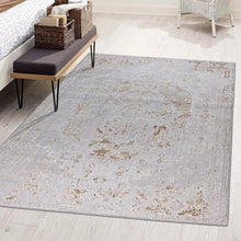Load image into Gallery viewer, Beige Distressed Timeless Traditional Area Rug - Monalisa