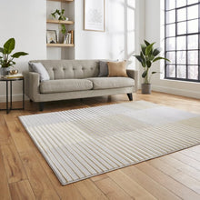 Load image into Gallery viewer, Grey and Gold Metallic Linear Area Rug - Lunar