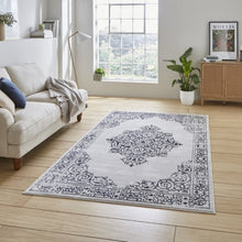 Load image into Gallery viewer, Blue and Silver Metallic Traditonal Rug - Howth