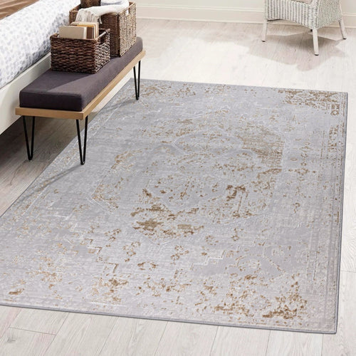 Beige Distressed Timeless Traditional Area Rug - Monalisa