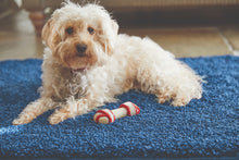 Load image into Gallery viewer, Midnight Blue Washable &amp; Non Slip Shaggy Rug - My Rug