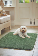 Load image into Gallery viewer, Forest Green Washable &amp; Non Slip Shaggy Rug - My Rug