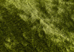 Forest Green 4.5cm Shaggy Rug - Shimmer