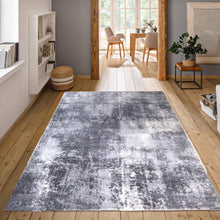 Load image into Gallery viewer, Platinum Abstract Living Room Rug - Sundby