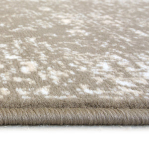 Transitional Beige Oriental Living Room Rug - Islay