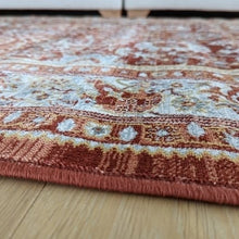 Load image into Gallery viewer, Vintage Terracotta Distressed Living Room Rug - Denver