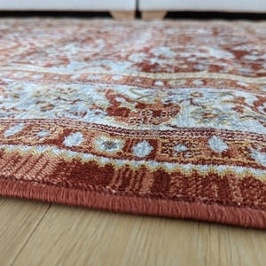 Vintage Terracotta Distressed Living Room Rug - Denver