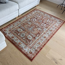 Load image into Gallery viewer, Vintage Terracotta Distressed Living Room Rug - Denver