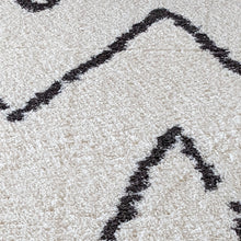 Load image into Gallery viewer, Modern Shaggy Rugs