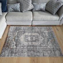 Load image into Gallery viewer, Grey Distressed Medallion Traditional Area Rug - Orion