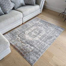 Load image into Gallery viewer, Grey Distressed Medallion Traditional Area Rug - Orion