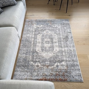 Grey Distressed Medallion Traditional Area Rug - Orion