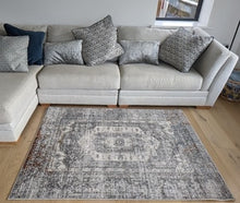 Load image into Gallery viewer, Grey Distressed Medallion Traditional Area Rug - Orion